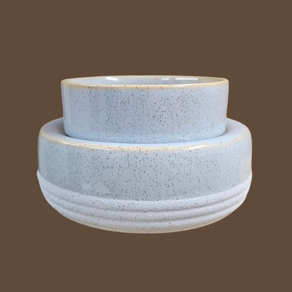 Electric Wax Warmers